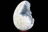 Crystal Filled Celestine (Celestite) Egg Geode - Large Crystals! #88281-1